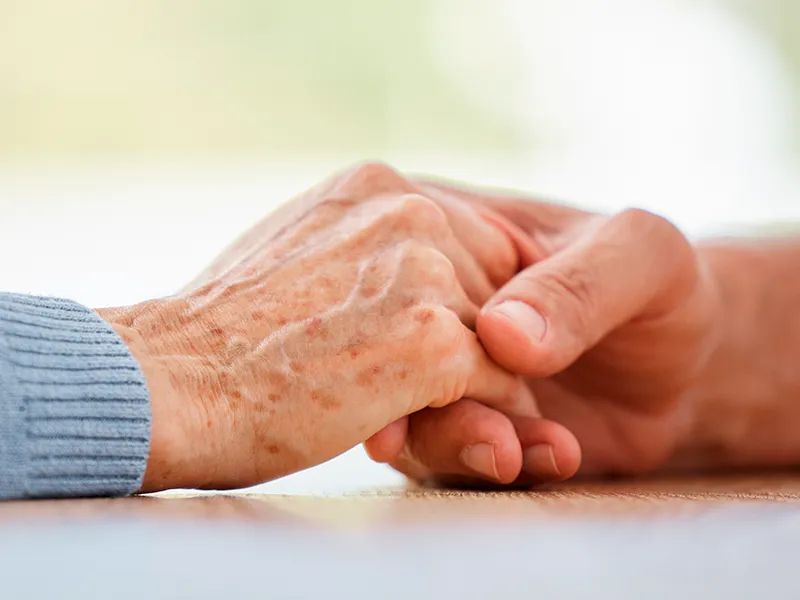 Servicios a Previsión